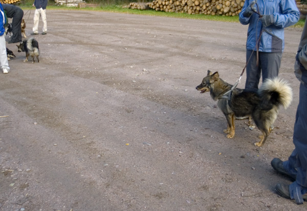 2005_09_17_01_Ruska
