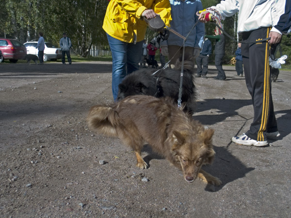 2005_09_17_08_Nuttu
