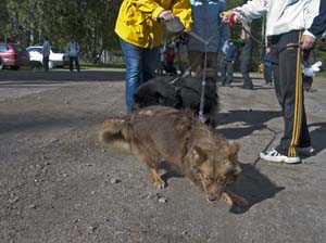 2005_09_17_08_Nuttu