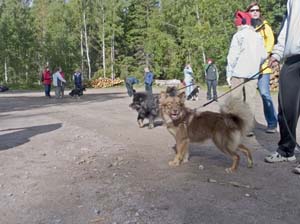 2005_09_17_12_Aaku Nuttu