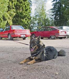 2005_09_17_14_Salla