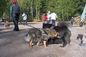 2005_09_17_15_Salla_Aaku