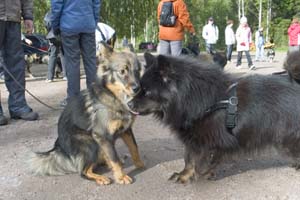 2005_09_17_17_Ruska_Aaku
