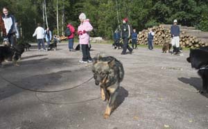 2005_09_17_18_Ruska