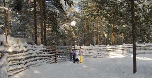 24_lauri_ja_nieida