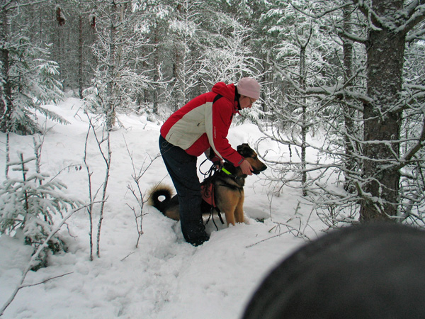 35_linda_lahettaa_jeppea