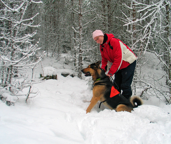 37_linda_lahettaa_jeppea