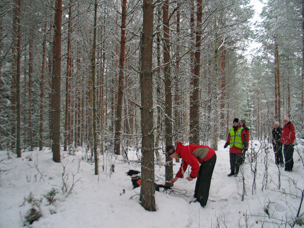 53_sannak_lahettaa_idaa