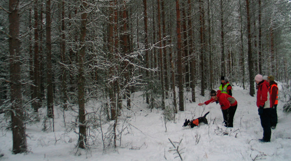 55_sannak_lahettaa_idaa