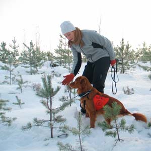 14__karoliina_lahettaa_le