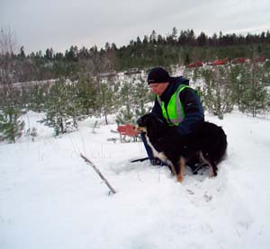 17_kalle_lahettaa_bellaa