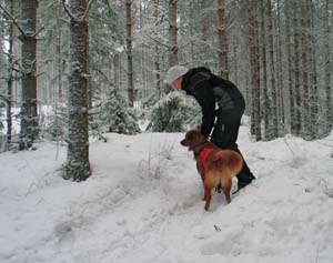 22_leevi_ja_karoliina_kes