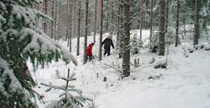 26_sannak_ja_karoliina_tu