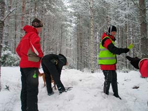 28_sannak_karoliina_leevi