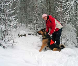 37_linda_lahettaa_jeppea