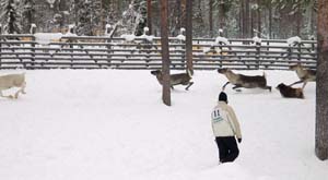 16_veeti_hommissa