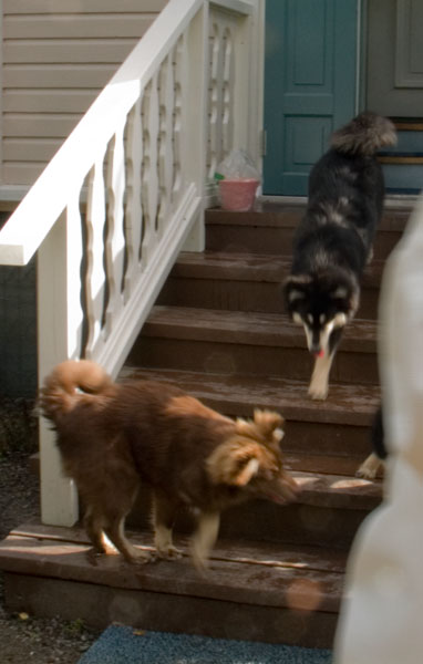 04_nalle_ja_jussi